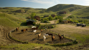 Kanada Saskatchewan La Reata Ranch Koppel kleingerechnet Foto Tourism Saskatchewan Greg Huszar